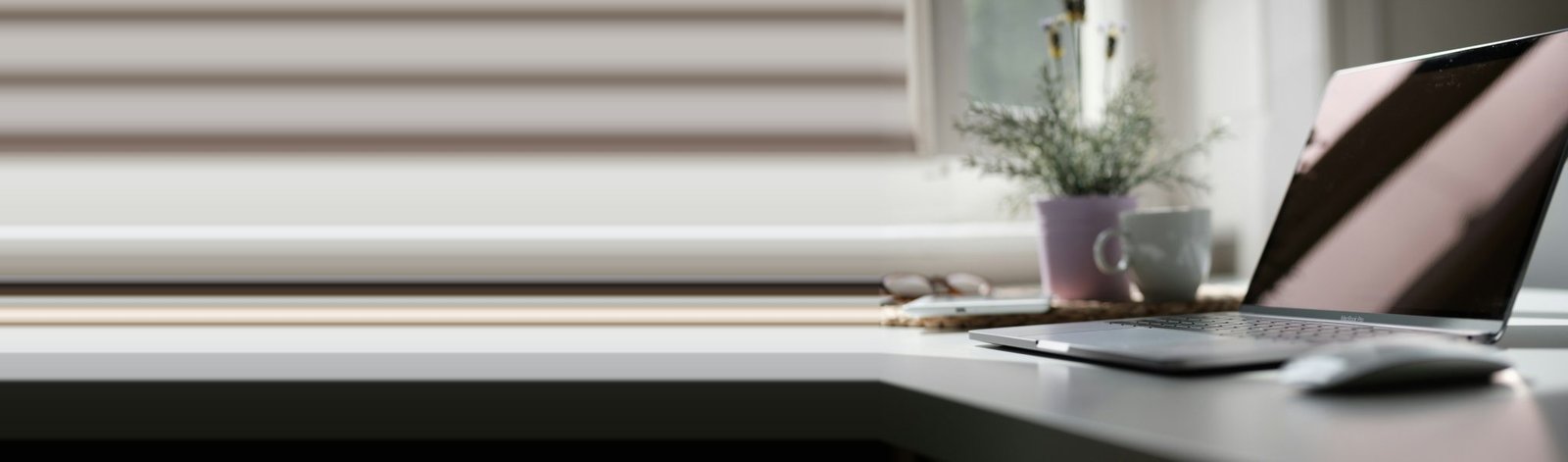 Laptop junto a una planta y una taza sobre un escritorio iluminado
